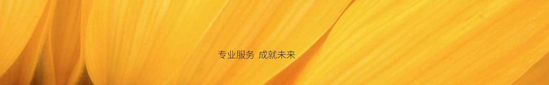 营销网络